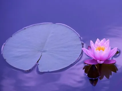 MJ03 - Expressing Respect To The Deserving (04 Of 39)