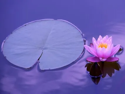 MJ04 - 38 Blessings - Buddhist feng-shui (05 of 39)