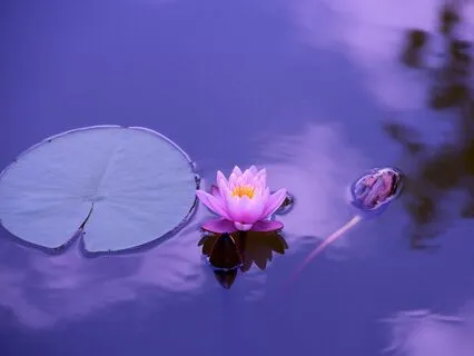 MJ09 - 38 Blessings - Precepts (10 of 39)