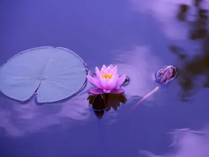 MJ19 - 38 Blessings - Temptation Busting (20 of 39)