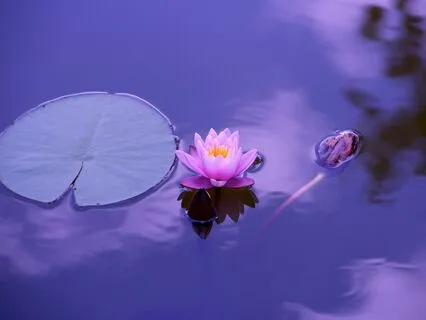 MJ21 - 38 Blessings - Mindful living (22 of 39)