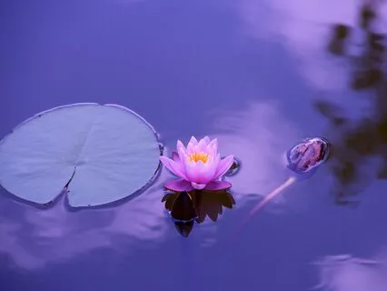 MJ36 - 38 Blessings - Sorrowlessness (37 Of 39)