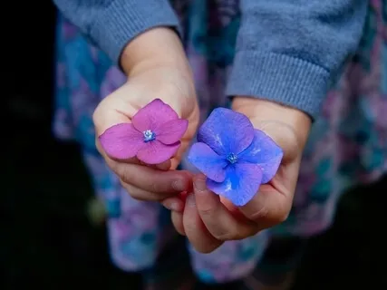 MOGA: Yoga For Your Mind