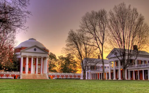 MOL: A Moment For Love