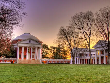 MOL: Embody And Cultivate Joy