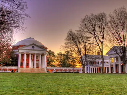 MOL: Paying Attention To The Now