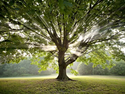 Молитва "Очищение Всего Рода"