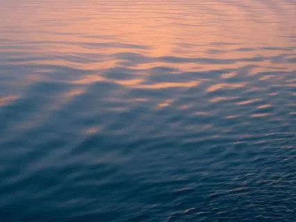 Moment Of Calm | Mini Breath Practice