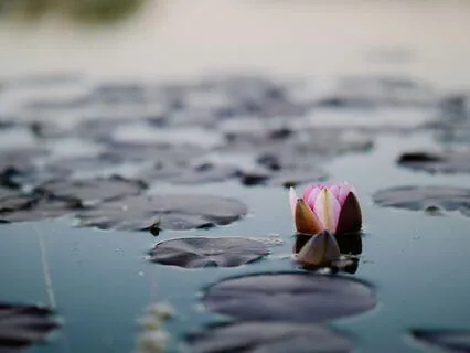 Moment Of The Breath