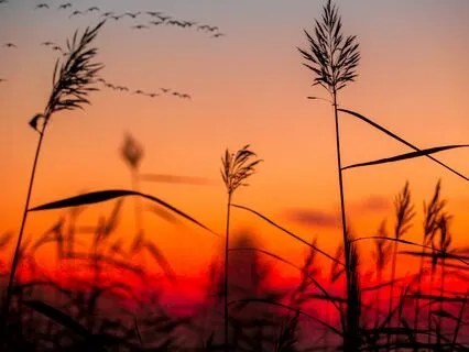 Moment To Breathe Deep