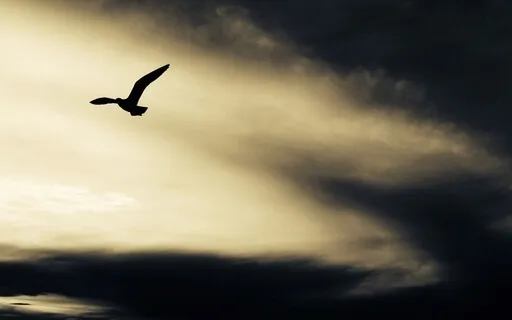 Momentos de Dor, Desânimo e Cansaço