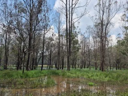 Moments At A Lake - Karura Forest Nairobi