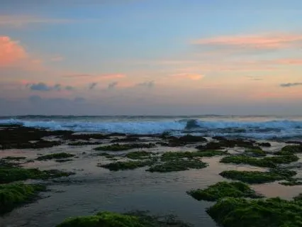 Moments Of Joyful Calm