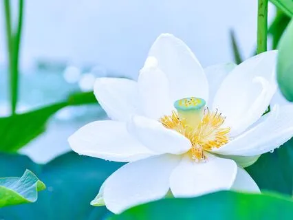 Moments Of Pure Awareness