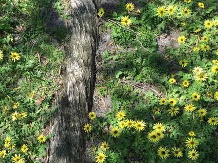 Moments Of Pause, Purpose And Presence At Work