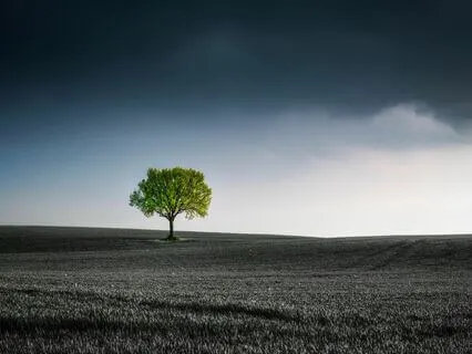 Moments Of Solitude | Deep Sleep Music For Insomnia