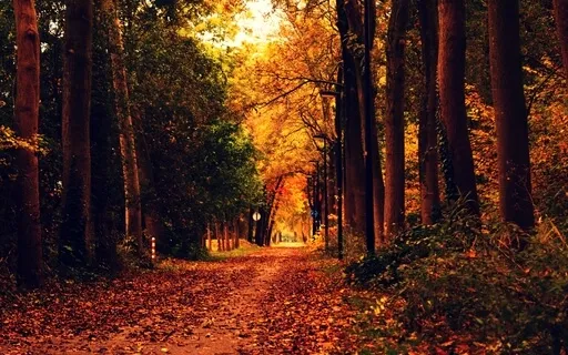 Moments Of Spirit 1 (Piano)