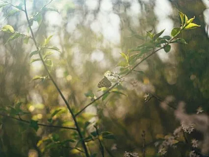 Moms And Grown-Up Children - Finding Freedom