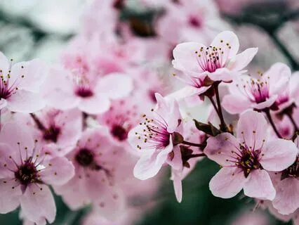 Momtras & Mindfulness Day 3: I Am Present In Each Moment