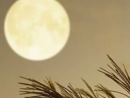 Monday Meditation: Start Your Week With Clarity & Calm