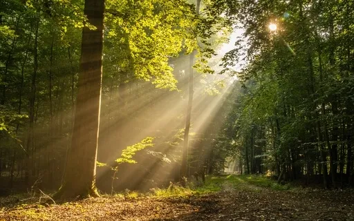 Monday Morning Refresher