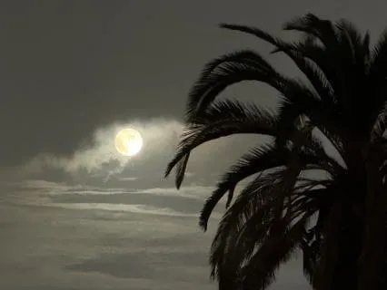 Monday’s Full Moon