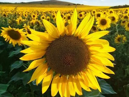 Money  Affirmation – Attracting Abundance