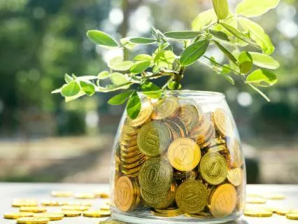 Money Affirmations | For Nervous System Regulation