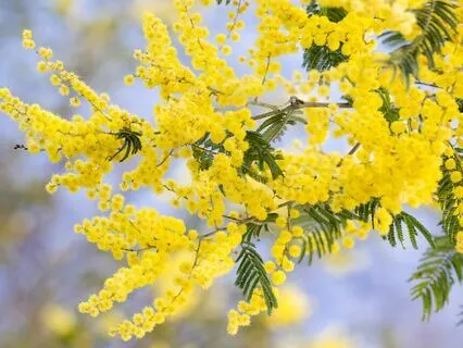 Money And Alignment With The Abundant Life Flow