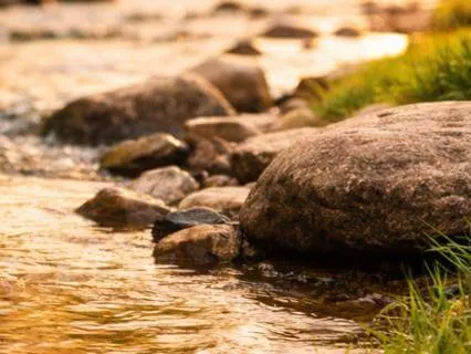 Money Anxiety Relief Meditation. A Quick Reset