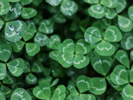 Money Attraction And Good Luck Music | 777Hz + 1111Hz