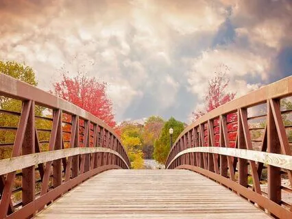 Money Binaural Beats 10Hz | Manifest Wealth & Abundance