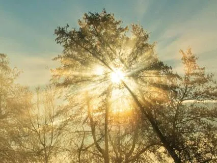 Money/Financial Anxiety Relief (EFT Tapping)