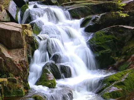 Prosperity Flow Exercise