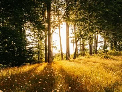 Money Is A Beautiful Energy