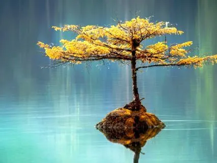 Money Is Not The Root Of All Evil