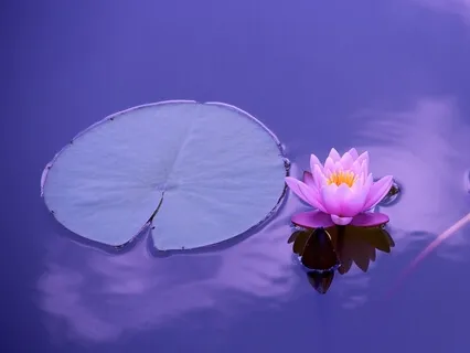 Finance Is Essential For Completing Desires, How Can I See It As An Illusion?