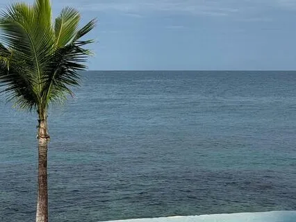 Money Magnet | Wealth & Success Flow To You Instantly