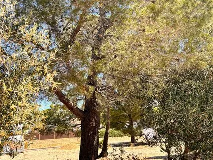 Abundance Manifestation Affirmations