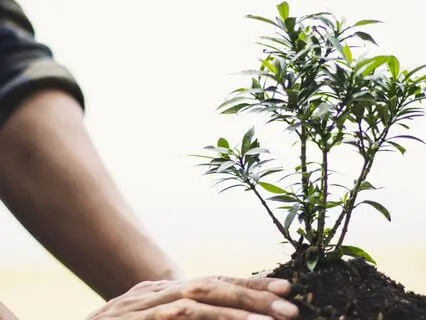 Money Meditation For Therapists, Helpers And Healers