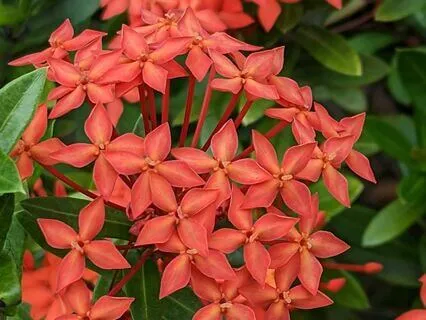 Money Meditation (Powerful)