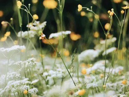 Money Mindset Guided Journaling Meditation