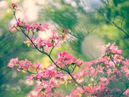 Money River Meditation: Attracting Prosperity And Abundance