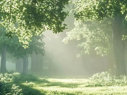 Money Stress Guided Rest