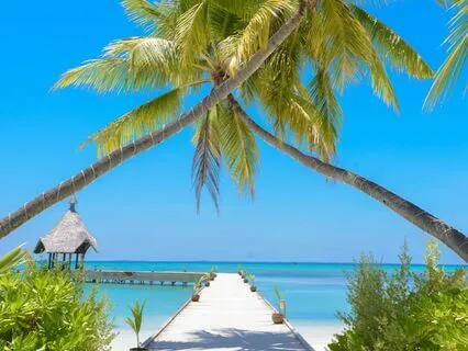 Money Waves | Attract the Abundance You Deserve Now