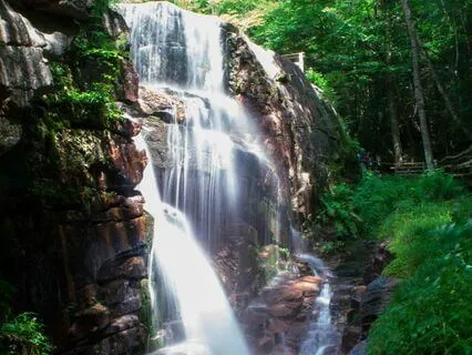 Money Will Flow To You | All Your Wishes Will Come True