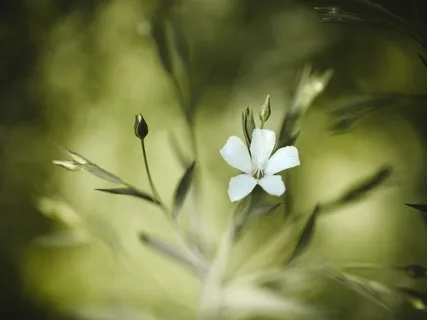 Money, Consciousness, & Breaking The Spell Of Association