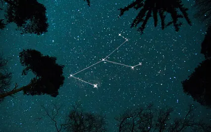 Monoceros Dreamscape