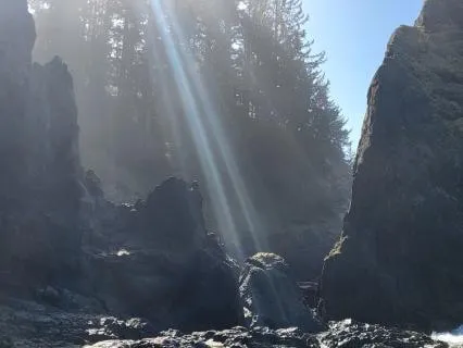 Mood Journey Music For The Emotional Body
