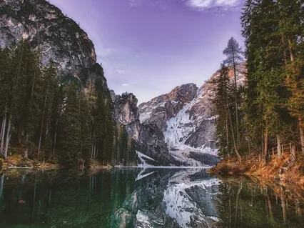 Mood Support Designed For Depression